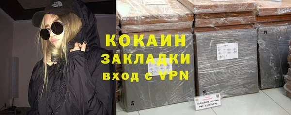 сатива Долгопрудный